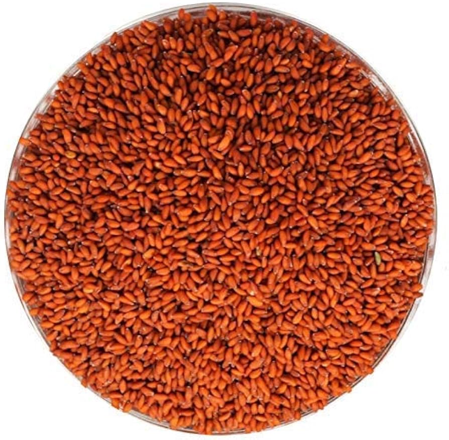 halim-seeds